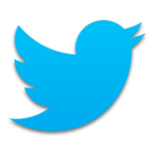 Twitter-Bird-Logo-300x300